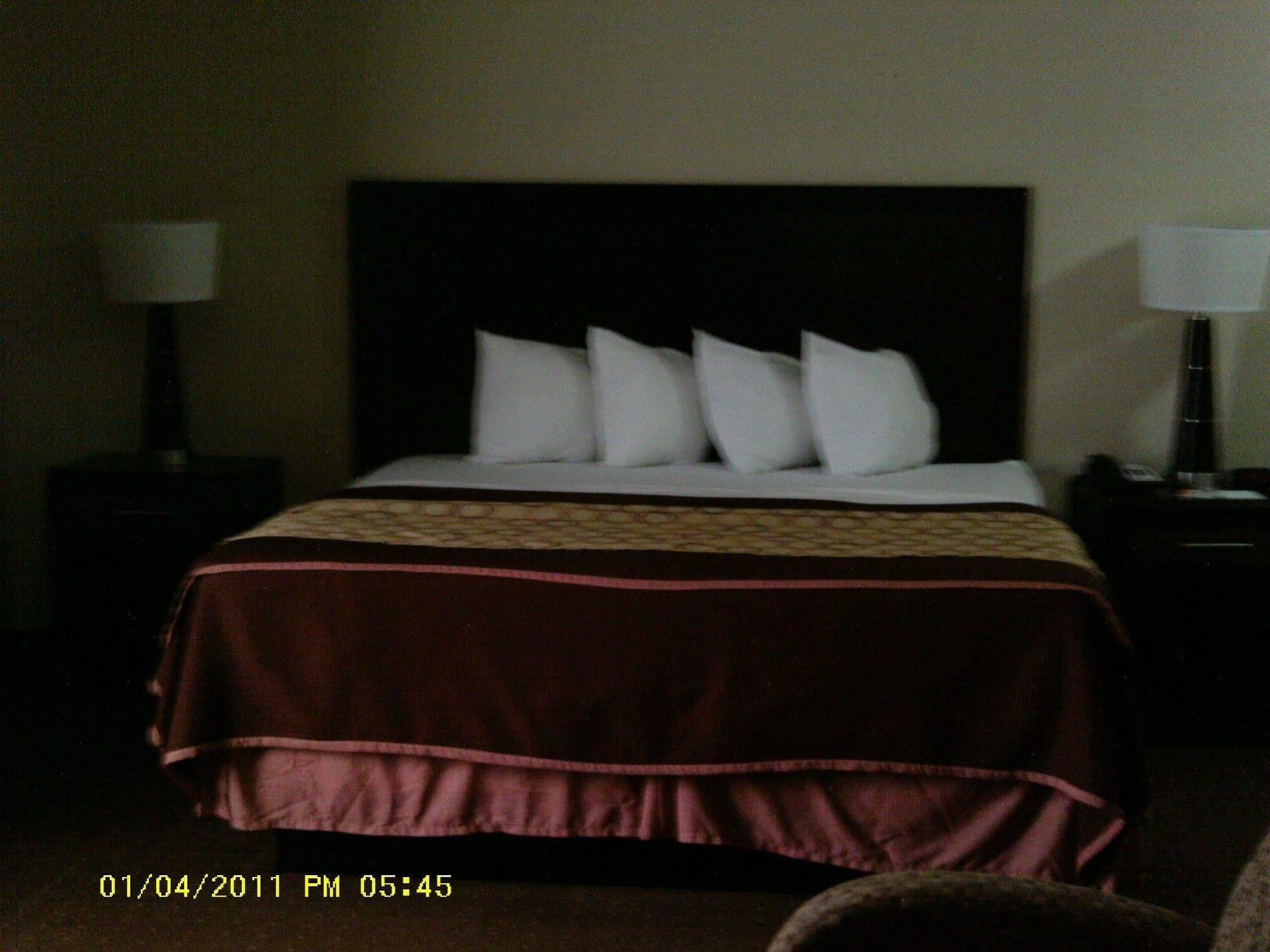 Hotel Knights Bunkie